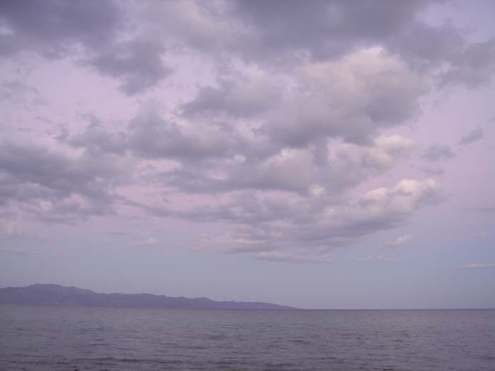 DSC03994