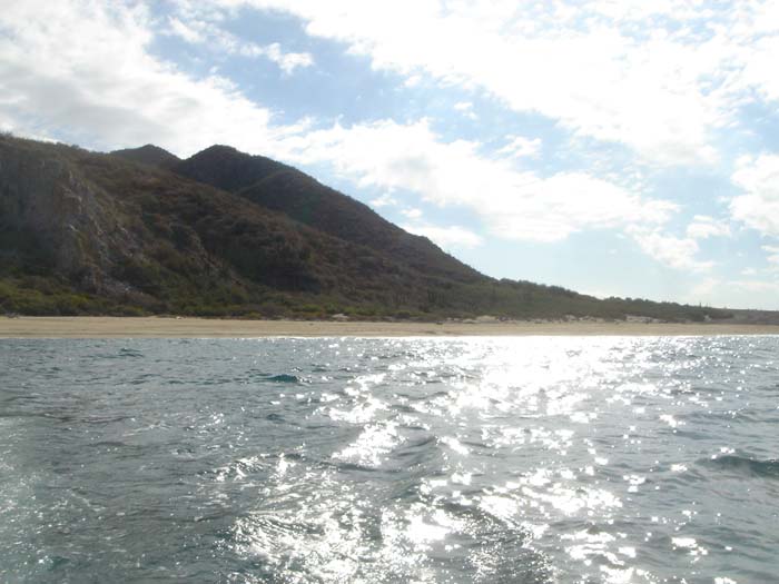 DSC04016