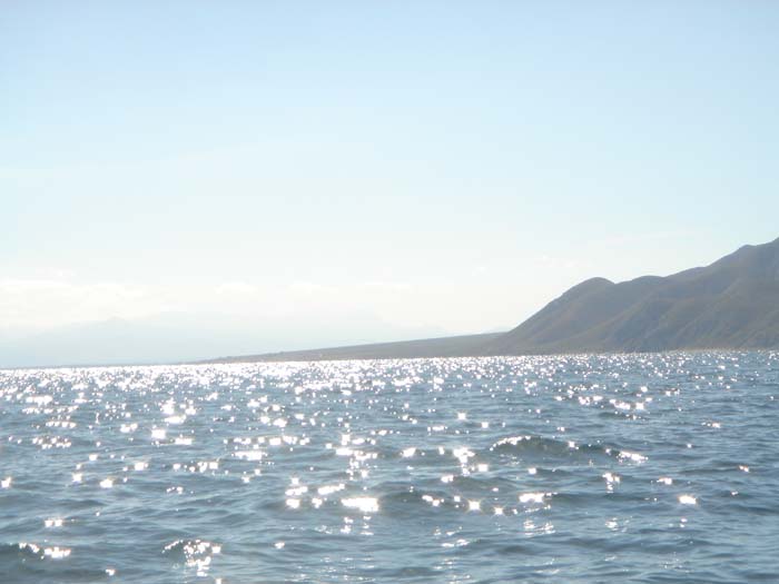 DSC04022