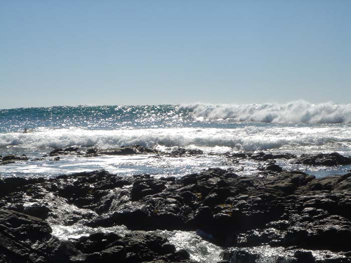 DSC04059