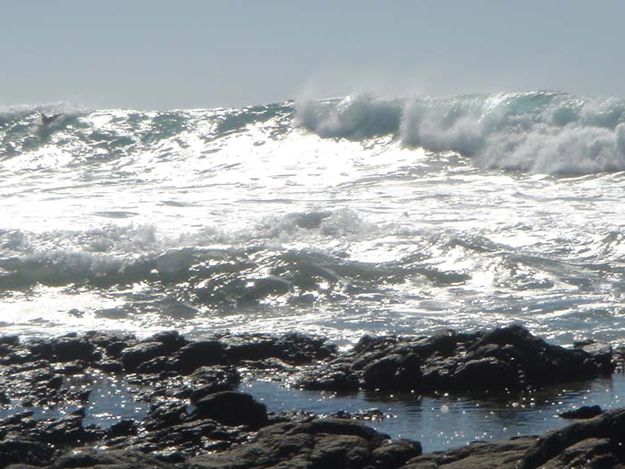 DSC04060