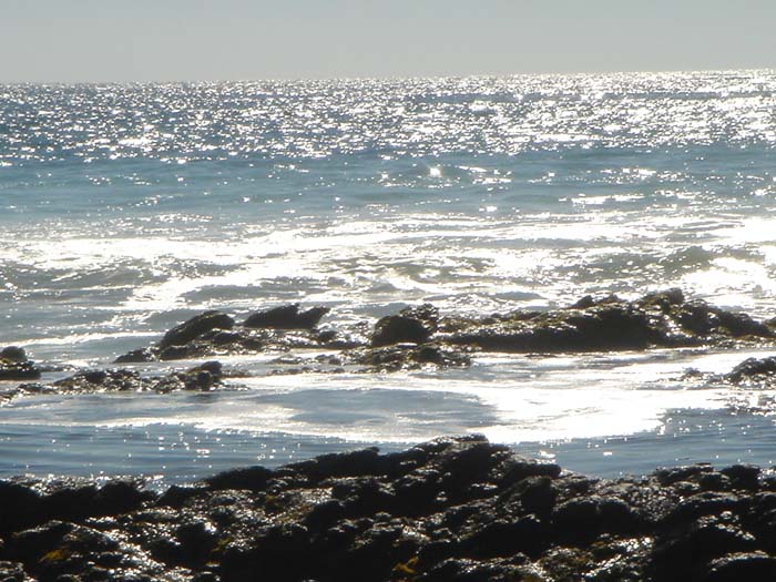 DSC04062