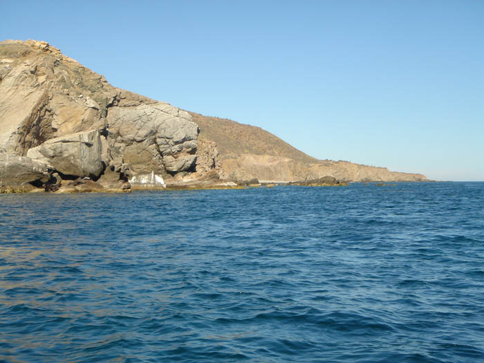 DSC04129