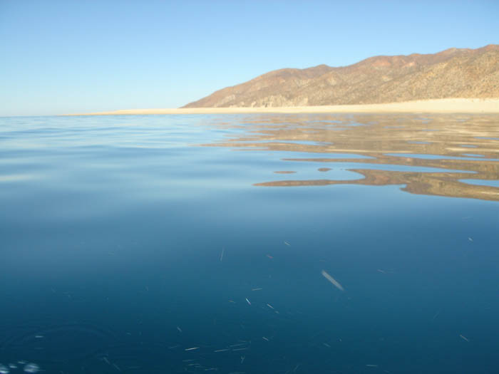 DSC04132