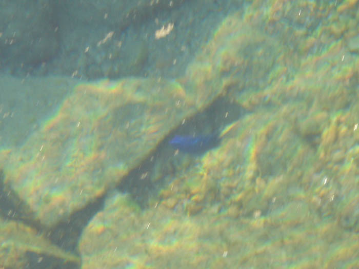 DSC04165