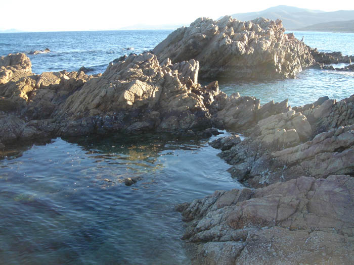 DSC04168