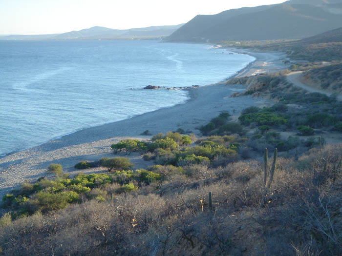 DSC04171