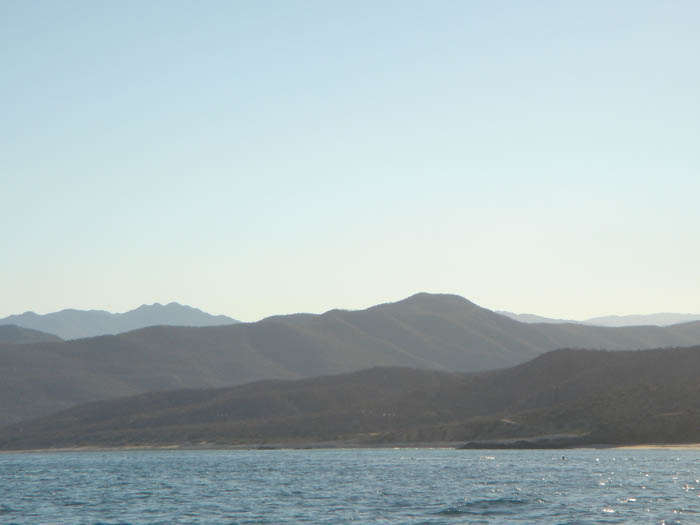 DSC04209