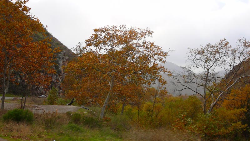 P1090605