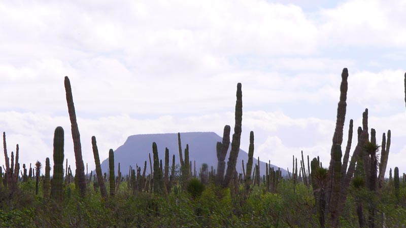 P1090672