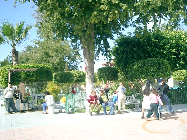 CIMG0065