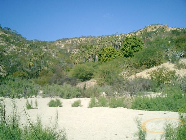 CIMG0072