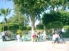 CIMG0065
