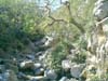 CIMG0067