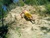 CIMG0083