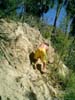 CIMG0084