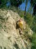 CIMG0085