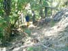 CIMG0089