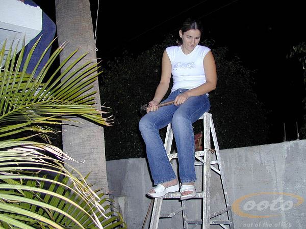P1011568