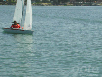 DSCN2549-01