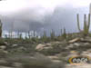 Clip 39