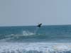 DSCF0128_1