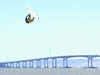 chip_air501