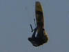 Clip 08