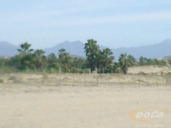 CIMG0017