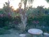 CIMG0099