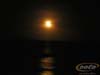 PICT0016