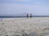 PICT0098