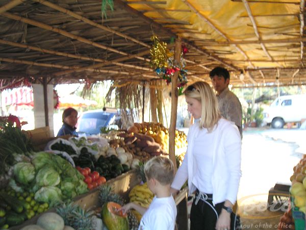 PICT004601