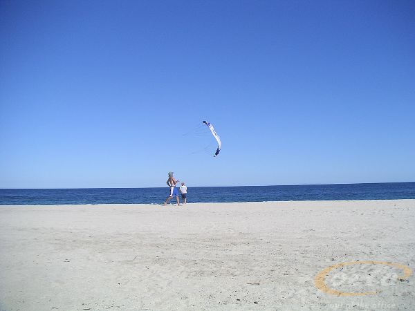 PICT004801