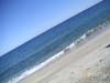 PICT005901