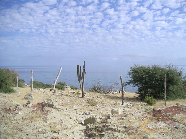 PICT0007