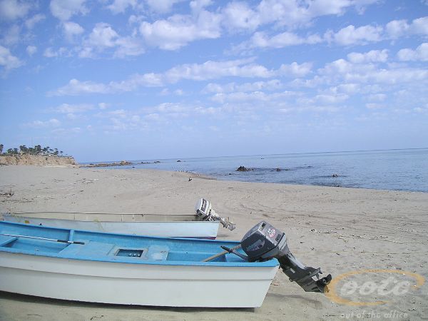PICT0024