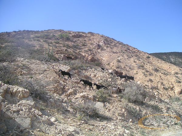 PICT0035