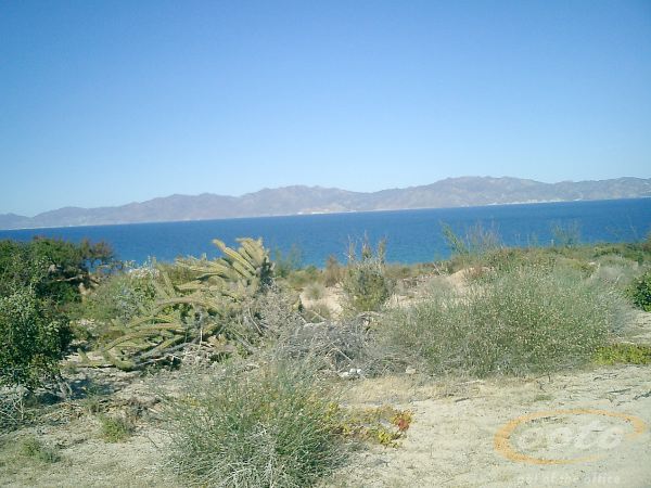 CIMG0013