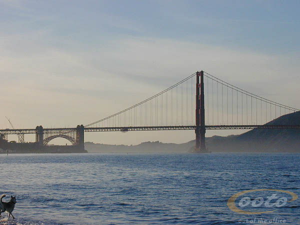 P101119702