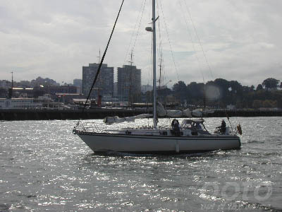 P1010636