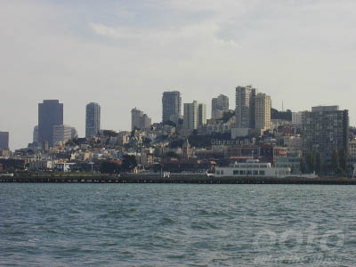 P1010639