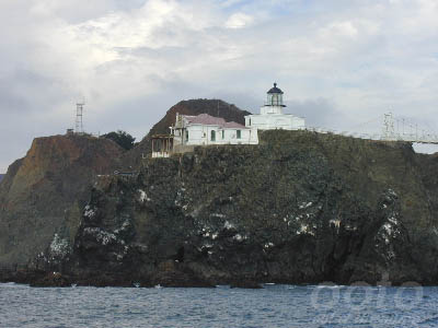 P1010643